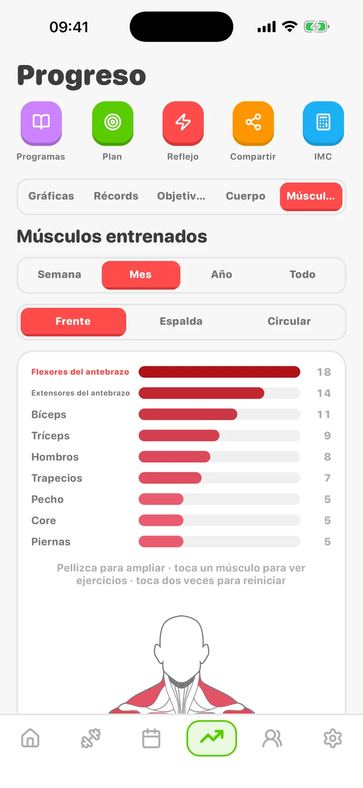 ArmProgress progress tab — muscles trained by group