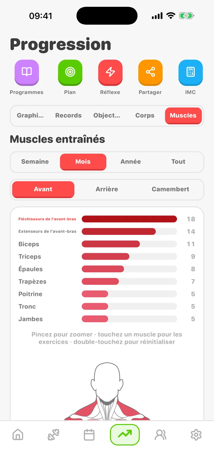 ArmProgress progress tab — muscles trained by group