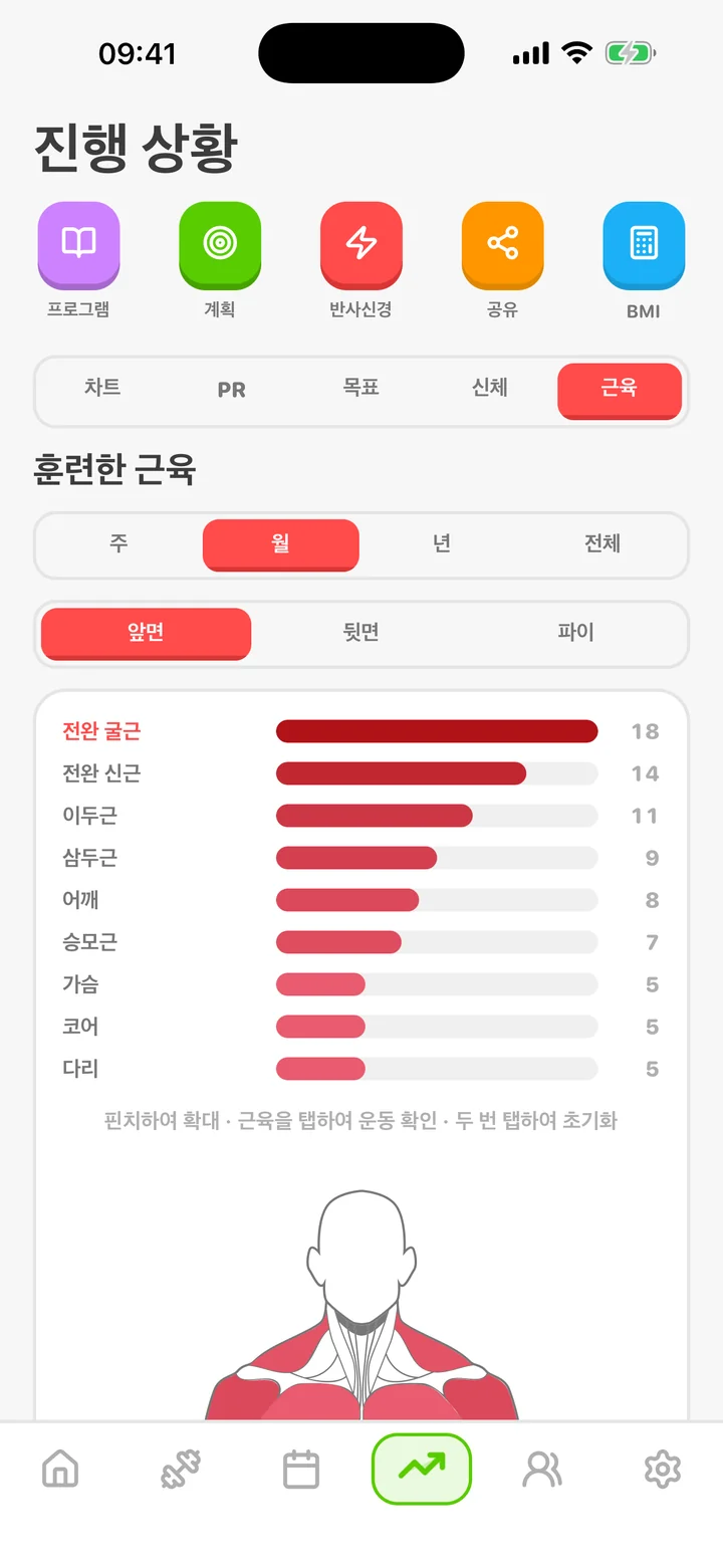 ArmProgress progress tab — muscles trained by group